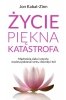Życie piękna katastrofa